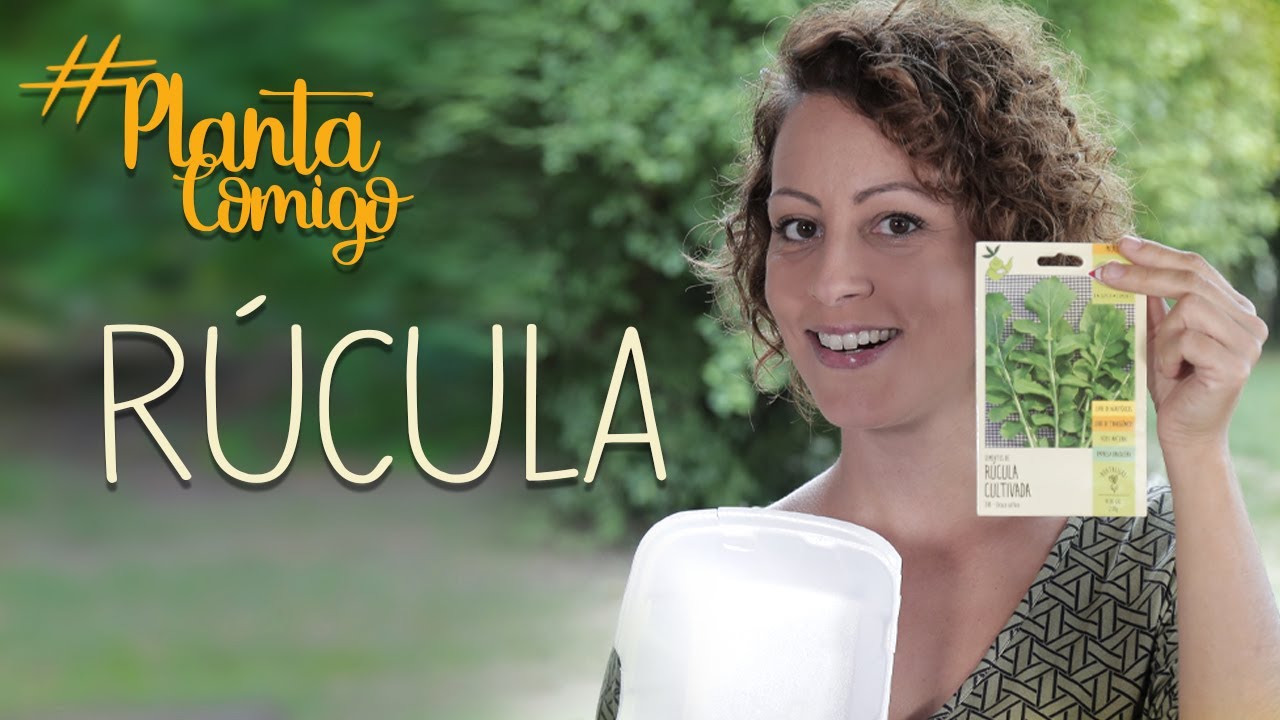 VIDA SAUDÁVEL:  Como PLANTAR sua própria RÚCULA #plantacomigo