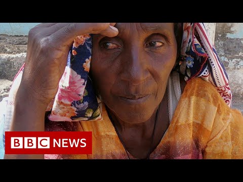 衣索匹亞提格雷危機。政府軍向首都進軍 - BBC新聞 (Ethiopia Tigray crisis: Government forces 'march on capital' - BBC News)