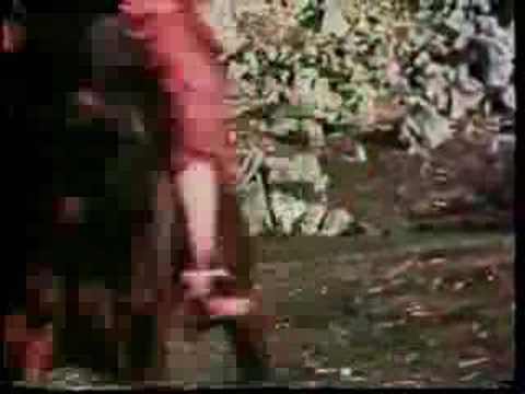 Lincoln County Incident