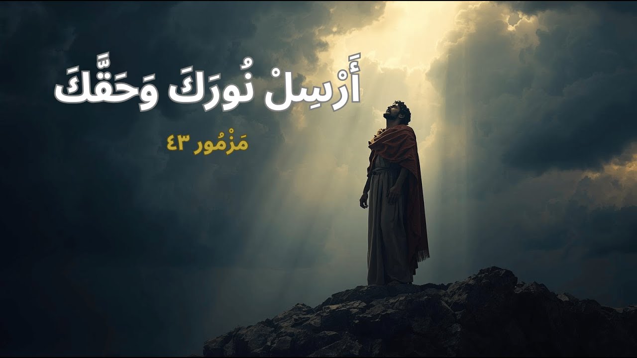 فيديو تفسير الكتاب المقدس | الكتاب المقدس رفيقي