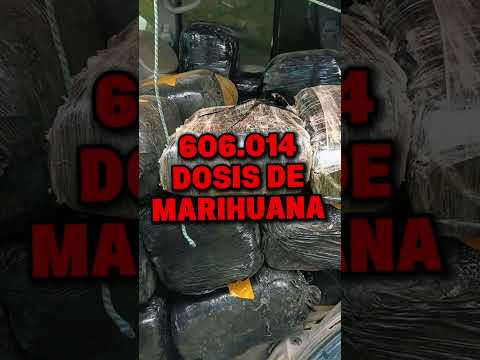 🚨 DURO GOLPE AL NARCOTRÁFICO EN CARCHI: MÁS DE 600 MIL DOSIS INCAUTADAS