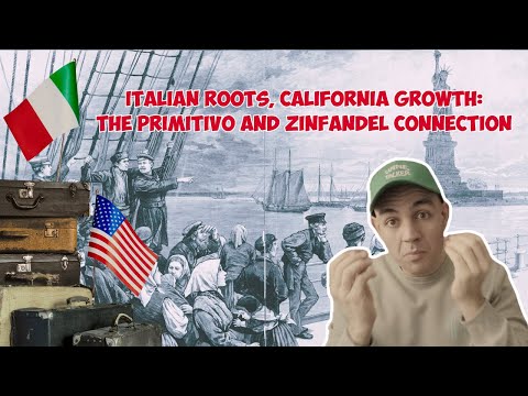 ITALIAN ROOTS, CALIFORNIA GROWTH:THE PRIMITIVO AND ZINFANDEL CONNECTION- Primitivo by Rosa del Golfo