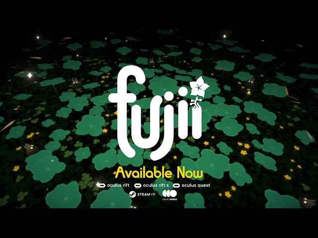 Video - Fujii (PC)