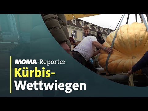 MOMA-Reporter: Deutschlands dickster Kürbis gesucht I ARD Morgenmagazin