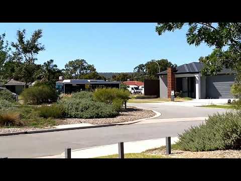 Transperth TP1918 & TP1615 @ Eighth Road 244 Routes to Kelmscott Train Station