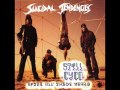 Suicidal Tendencies - Institutionalized (Still Cyco After All These Years)