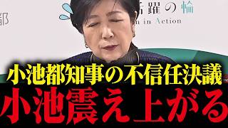 【さとうさおり】小池都知事の不信任決議について...トンデモない事態になってます...【小池百合子 都議会 カイロ大学 学歴詐称疑惑】