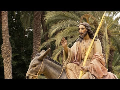 Homilía del Domingo de Ramos