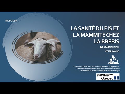 , title : 'Formation en santé ovine - La santé du pis et la mammite chez la brebis (Module 8)'