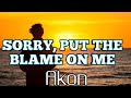 Akon Sorry Put The Blame On Me Lyrics