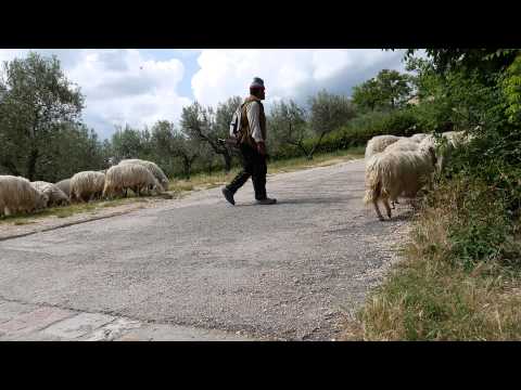 Best of Assisi - Familienwallfahrt mit Bischof Friedhelm