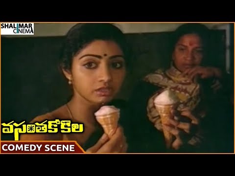 Vasantha Kokila Movie || Sridevi Funny Eating Ice Cream || Kamal Haasan, Sridevi || Shalimarcinema