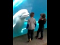 Esta beluga asustando a unos niños puede parecer muy graciosa