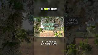 이게 아카시아가 아니라고?｜크랩