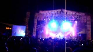 juego de azar - elefante