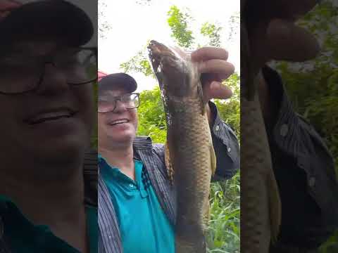 Mais um trairão para a panela.