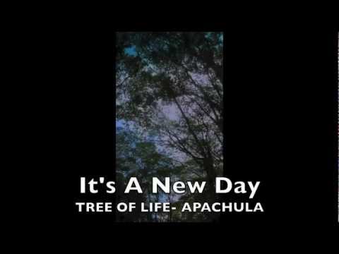 APACHULA-It's A New Day- Tree Of Life