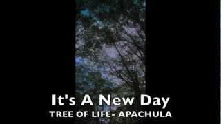APACHULA-It's A New Day- Tree Of Life