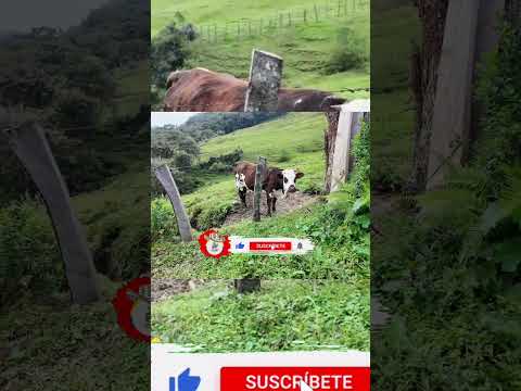 No se necesita ser mago para vivir la maguia en el peñón Santander Colombia