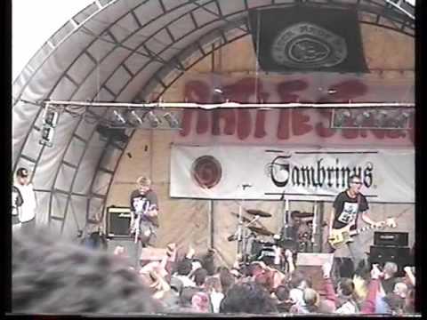 Zeměžluč - ZEMĚŽLUČ Antifest VII  2001 DVD