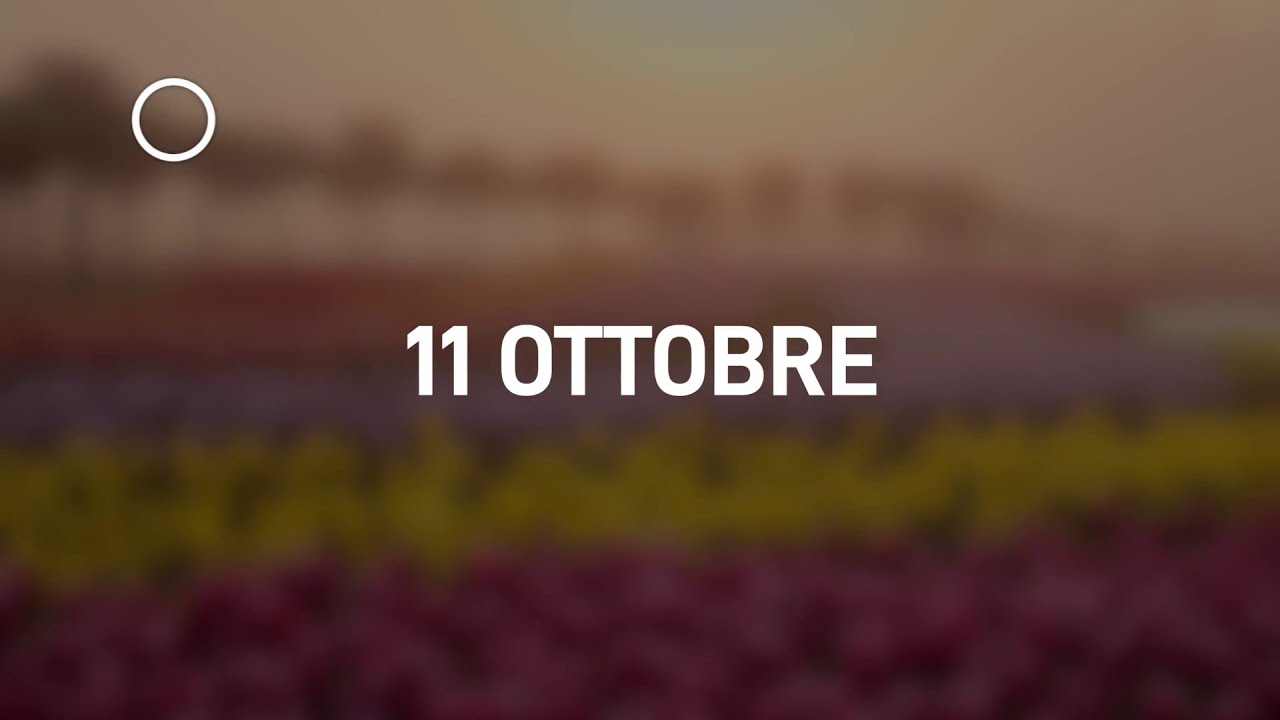 11 Ottobre 2024 | Meditazione Parole di Vita