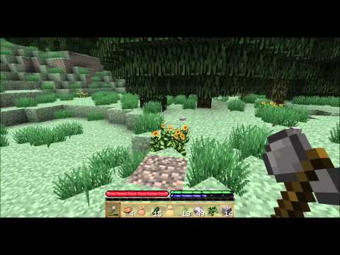 Tweety plays Terrafirmacraft ep 10 - Build 77