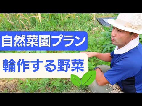 輪作のメリットとデメリット