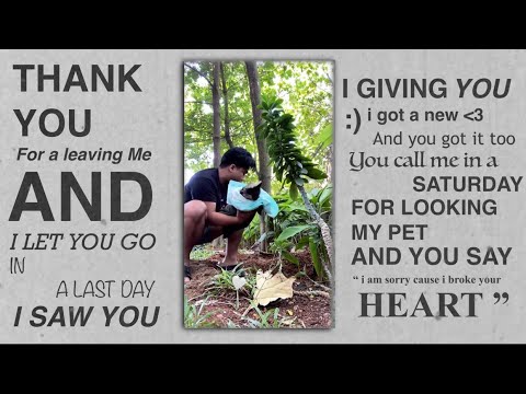 Syady Abiyyu - Last Song For You  (Official Lyric Video)