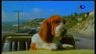 Download lagu Funny Animal Versi Jawa - JTV (Part2) mp3