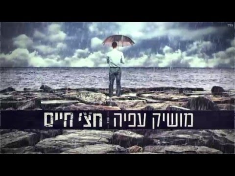 חצי חיים