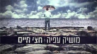 חצי חיים