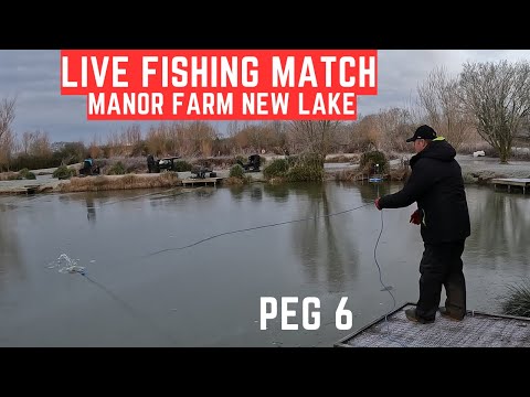 Live Fishing Match Manor Farm Swilland IP6 9LB, #matchfishinguk