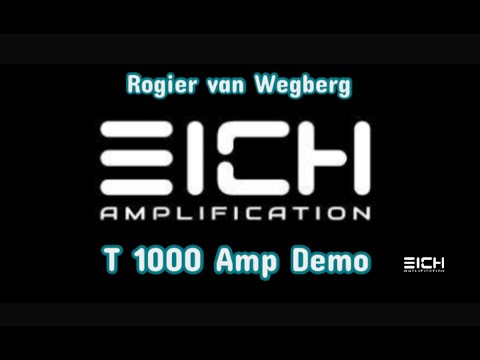 Eich Amplification T-1000 Amp image 4