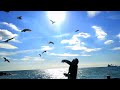 Ceyhun Çelik - Elif Dedim ...