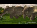 Teletubbies Magical Event Animal Parade Album Version