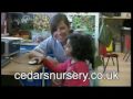 Cedars Nursery