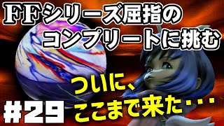 【FF9】最強の召喚士エーコが誰も見たことがない究極のデータを目指します（第29話～やり残したこと）