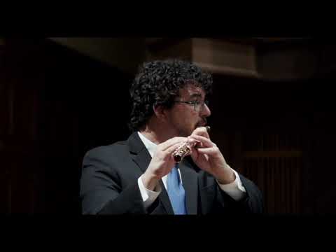 Erwin Schulhoff - Concertino for flute, viola and bass