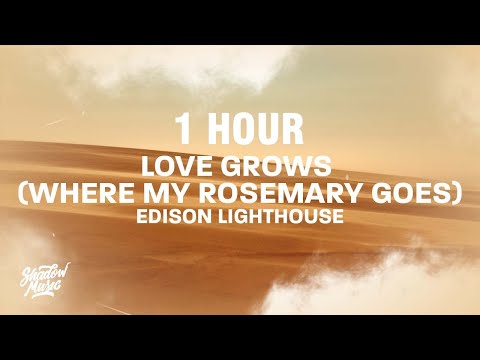 [1 HOUR] Love Grows (Where My Rosemary Goes) TikTok Song - Edison Lighthouse