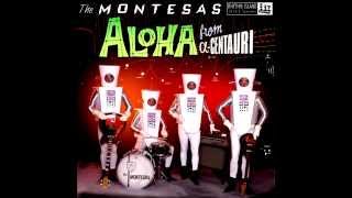 The Montesas - Das Model (Kraftwerk Cover)