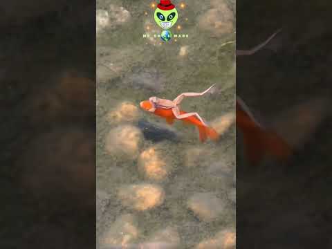 #16 Nice funny fail 😂😄🎉 #viral #shorts #fails #funny #wow #fail #jokes #new #comedy #positive #top