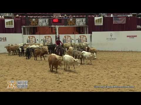 ShinersBoyNamedSioux ridden by Ashley Deacon  - 2017 Snaffle Bit Futurity (Herd Work - Open Prelims)