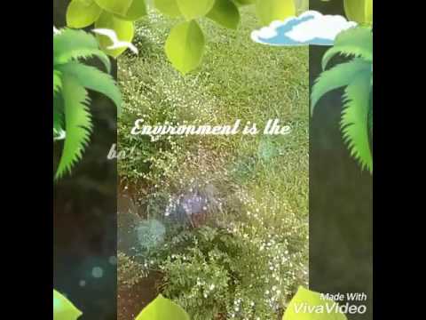 Destination conservation