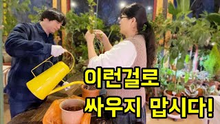 가지고 싶었던 희귀한 동백나무를 구하고 너무나 좋아하는 가드너