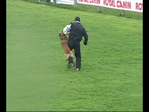 Octavius Malidaj. FMBB-2007, C