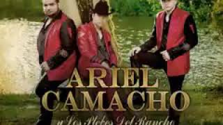 Ariel Camacho y Los Plebes del Rancho (Los tanates)