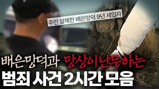 Download lagu [범죄사건모음집] 배은망덕과 망상이 난무하는 범죄사건 2시간 연속재생 | 샨나엘 mp3