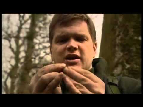 Ray Mears' Bushcraft S02E05 - Four Seasons