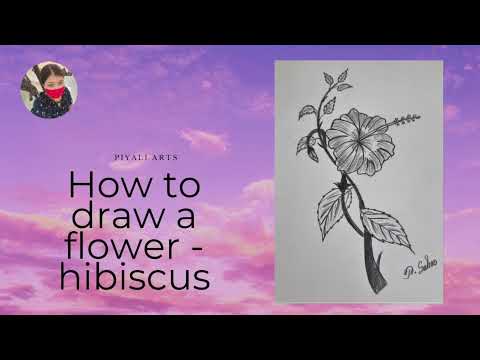 How to draw a flower- hibiscus | flower drawing step by step - Pencil
