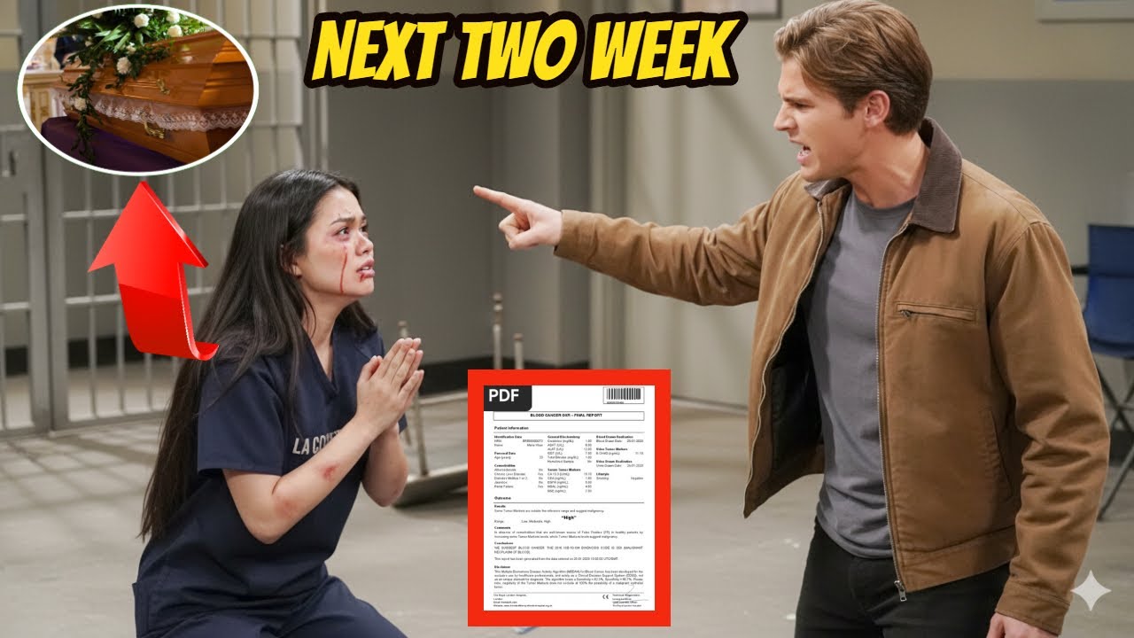 YouTube Thumbnail Downloader FULL HQ IMAGE